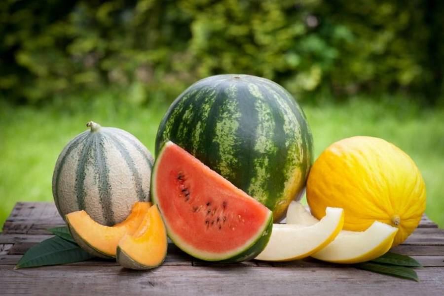 Süße Melone erkennen: Diese Merkmale verraten Reife und Geschmack