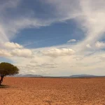 Was das „stärkste El Niño seit Beginn der Aufzeichnungen“ wirklich für Menschen bedeutet: Folgen für Deutschland