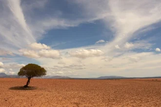 Was das „stärkste El Niño seit Beginn der Aufzeichnungen“ wirklich für Menschen bedeutet: Folgen für Deutschland