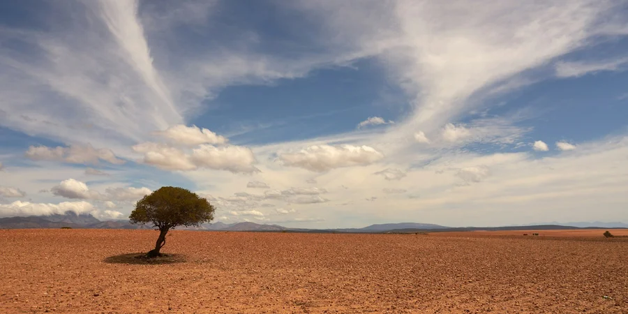 Was das „stärkste El Niño seit Beginn der Aufzeichnungen“ wirklich für Menschen bedeutet: Folgen für Deutschland