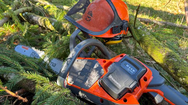 Kind stirbt bei Forstarbeiten in Bayern: Gefällter Baum trifft Grundschulkind