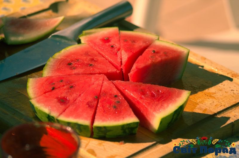 Wassermelone jeden Tag: Vorteile, Risiken und die richtige Menge im Überblick