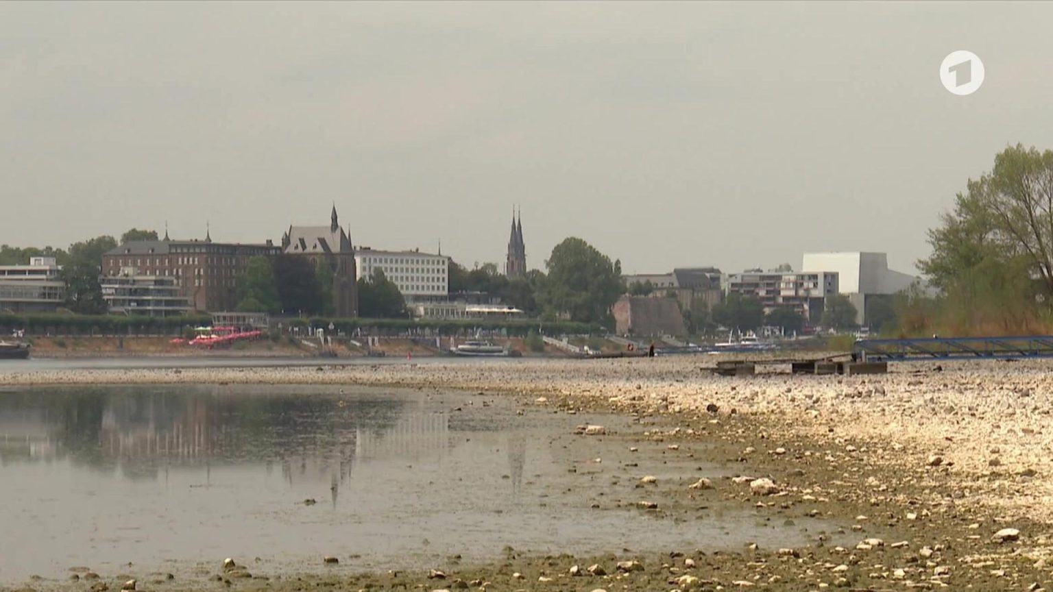 Rhein in Köln erreicht historischen Tiefstand: Pegel soll weiter sinken