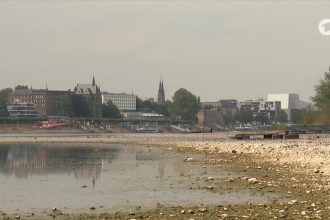 Rhein in Köln erreicht historischen Tiefstand: Pegel soll weiter sinken