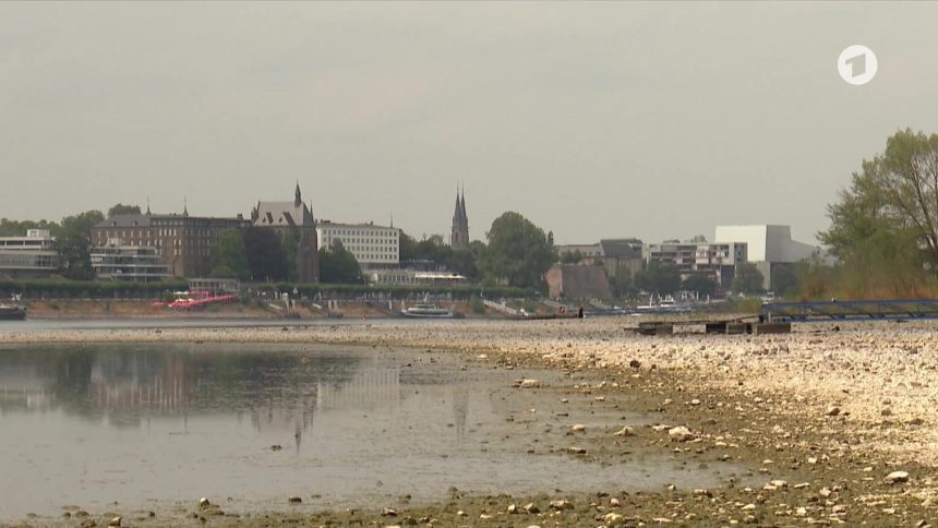 Rhein in Köln erreicht historischen Tiefstand: Pegel soll weiter sinken
