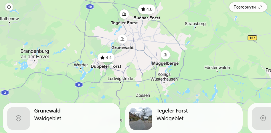 Pilzplätze Berlin 2026: Wo Pilze sammeln, beste Routen und Anfahrt