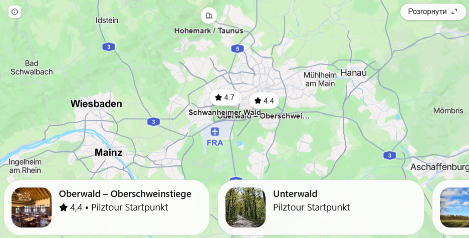 Pilzplätze in Frankfurt am Main: Wo man 2026 Pilze sammeln kann – Route