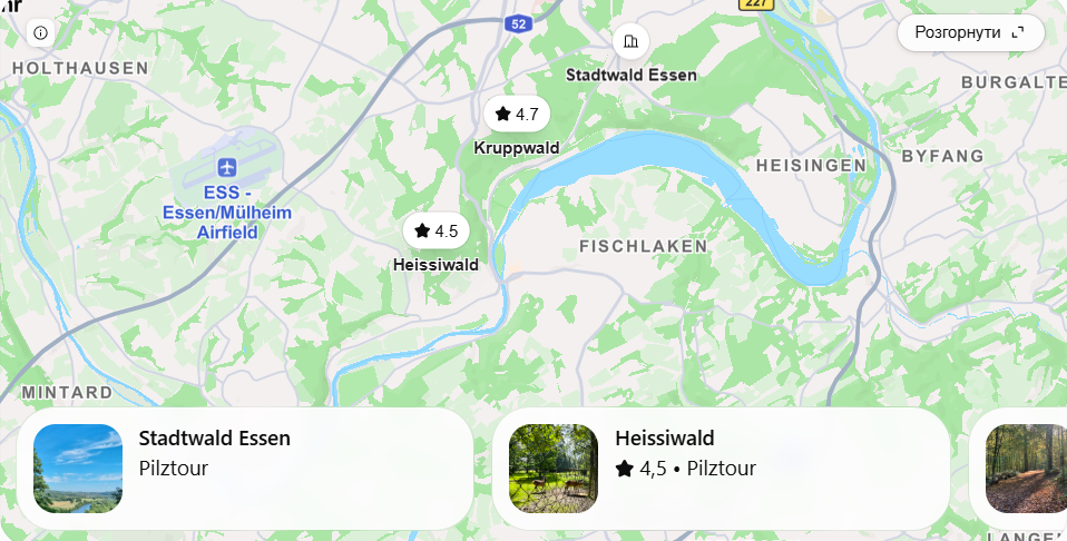 Pilzplätze Essen: Wo man 2026 Pilze sammeln kann – Route