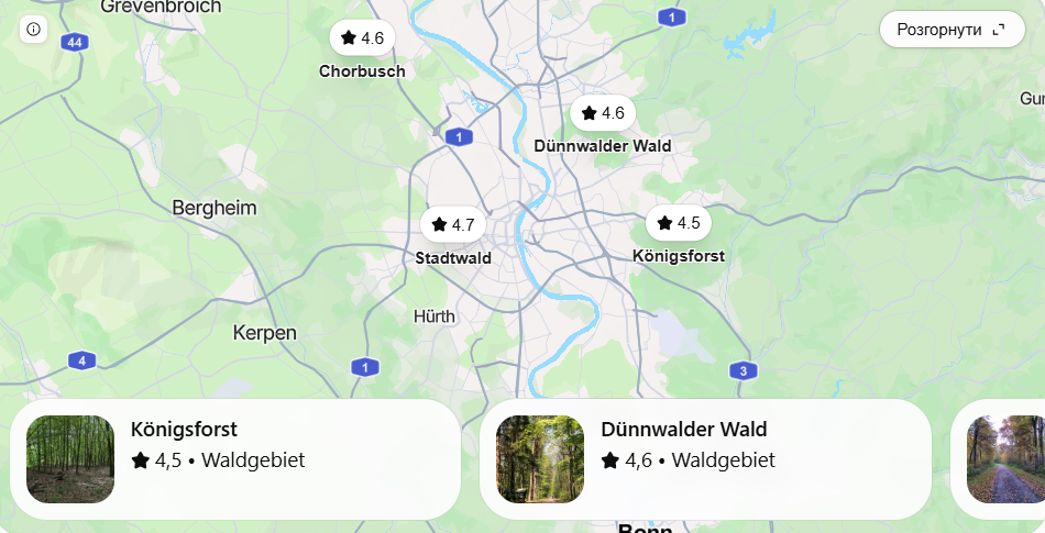 Wo wachsen Pilze bei Köln? Gute Waldgebiete für die Saison 2026