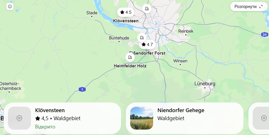 Pilze sammeln in Hamburg 2026: Diese Wälder eignen sich für eine Herbsttour, beste Routen und Anfahrt
