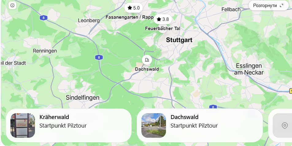 Pilze rund um Stuttgart 2026: Kräherwald, Dachswald und Fasanengarten.Wo man 2026 Pilze sammeln kann – Route
