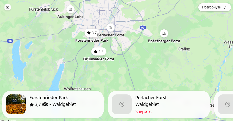 Wo wachsen Pilze bei München? Gute Waldgebiete für die Pilzsaison 2026, beste Routen und Anfahrt