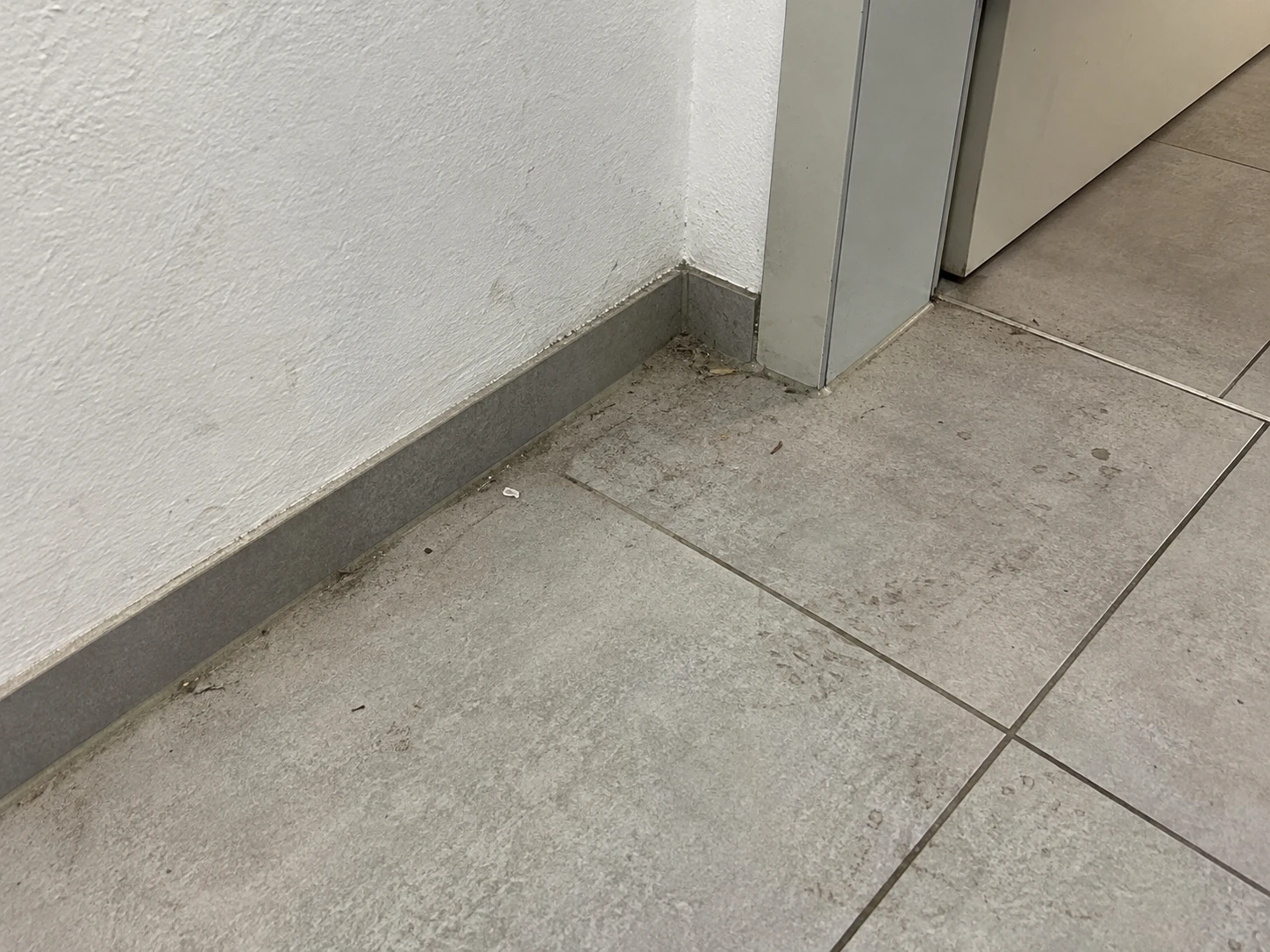 Staub und Schmutz am Rand eines Fliesenbodens neben einer Tür