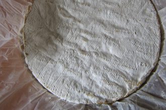 Ausgepackter Brie-Käselaib (Symbolbild)
