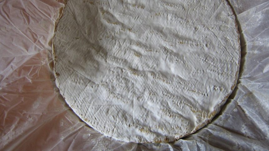 Ausgepackter Brie-Käselaib (Symbolbild)