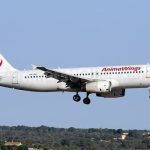 AnimaWings meldet Insolvenz an: Was passiert mit Flügen nach Deutschland und Rückerstattungen