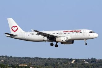 AnimaWings meldet Insolvenz an: Was passiert mit Flügen nach Deutschland und Rückerstattungen